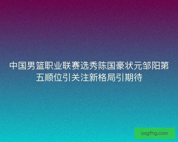 中国男篮职业联赛选秀陈国豪状元邹阳第五顺位引关注新格局引期待
