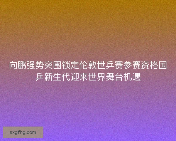 向鹏强势突围锁定伦敦世乒赛参赛资格国乒新生代迎来世界舞台机遇 向鹏强势突围锁定伦敦世乒赛参赛资格国乒新生代迎来世界舞台机遇