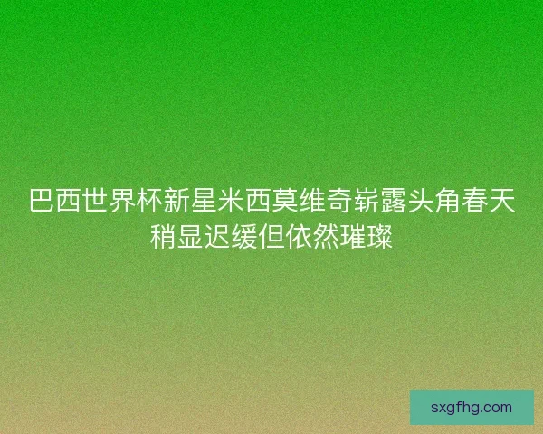 巴西世界杯新星米西莫维奇崭露头角春天稍显迟缓但依然璀璨 巴西世界杯新星米西莫维奇崭露头角春天稍显迟缓但依然璀璨
